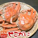 セコガ二 せいこがに（大1杯）カニ わけあり 訳あり せいこ蟹 セコ蟹 親がに 兵庫県香住・柴山産 ＼クーポン有／