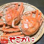 Yahoo! Yahoo!ショッピング(ヤフー ショッピング)＼クーポン有／ セコガニ せこがに（足揃い 中1杯）せいこがに せいこ蟹 セコ蟹 親がに ギフト プレゼント 兵庫県香住・柴山産