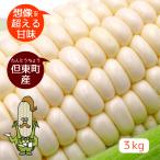白いとうもろこし ホワイトコーン ピュアホワイト 3kg(7〜10本)甘い 但東町産 もぎとり園 産地直送 送料無料