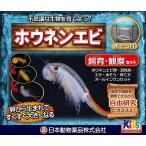 ホウネンエビ飼育観察セット 夏休み 宿題 自由研究 カブトエビ飼育セット 海老伝説 えび伝説 エビ伝説 カブトエビ 家庭用飼育セット