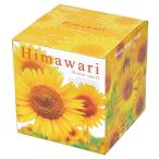 聖新陶芸 GD-753 ミニひまわり栽培セット ハートポットで育てるヒマワリ栽培キット 観葉植物 ガーデニング  ギフト