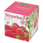 ピンクの花咲く ストロベリー栽培セット 観葉植物 ガーデニング 聖新陶芸 ギフト プレゼント 景品 母の日 父の日