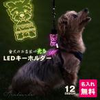 キーホルダー 光る LED ペット 犬 おしゃれ ライト お散歩 ネームプレート 名札 名入れ 刻印 ギフト プレゼント かばん リュック ledog ゆうパケット2