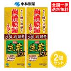 生葉EX 100g 2個セット 薬用ハミガキ 