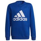 SALE　adidas（アディダス）　29258  GS4275　マルチSP　ジュニア  BIGLOGO スウェットトップ　21Q3