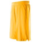  ласты ta(FINTA) FJ1119 4400 Gold баскетбол p Ractis брюки одноцветный стрейч Buggy шорты 20SS