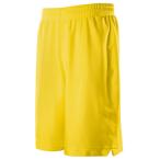  ласты ta(FINTA) FJ1120 4100 желтый баскетбол p Ractis брюки Junior одноцветный стрейч Buggy шорты 20SS
