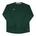 < кошка pohs отправка бесплатная доставка > in The краска (IN THE PAINT) ITP25456 GRN баскетбол машина sib one отметка Logo L/S футболка 25FW