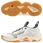  Mizuno (MIZUNO) V1GA231244 волейбол обувь WAVE MOMENTUMue-bmo- men tam3 23AW