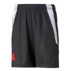 SALE　PUMA（プーマ）　657802　03　サッカー　ジュニア PUMA　FUSSBAL PARK  ショーツ JR　21Q3