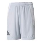 PUMA（プーマ）　657802  06　サッカー　ジュニア  PUMA FUSSBAL PARK ショーツ Jr  22Q2