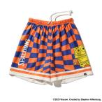 < кошка pohs отправка бесплатная доставка > SPALDING( Spalding ) SJP25064S 7258 баскетбол Junior губка * Bob контрольно-измерительный прибор флаг ткань . шорты 25SS