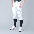 エスエスケイ（SSK）　UP002S　1090　ユニフォーム　ストライプショート丈パンツ　野球　17SS
