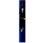  Tokyo li Ben ja-z линейка место земля ..205764