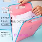 A4ドファイル袋 ２個セット 13ポケット 持ち運び ファイルケース 書類ケース 文具 文房具 防水 仕分け 大容量 ドキュメント 紛失防止 収納 オフィス用品