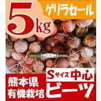 熊本県産 有機ビーツ 5kg