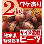 ショッピングワケあり ワケあり 有機 ビーツ 熊本県産 サイズ混載 ２kg