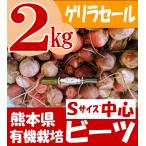 有機 ビーツ 熊本県産 ワケあり Sサイズ中心 ２kg 限定品 ゲリラSALE