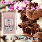  бесплатная доставка порошок .... иудино ухо 40g×1 пакет Kumamoto префектура производство иудино ухо дерево уголок пудра [ кошка pohs рассылка ]