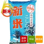 宮崎県産 こしひかり 新米5kg 無洗米 30年産 一等米 バレンタイン