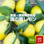  местного производства лимон .. .5kg пестициды не использование ( культивирование период средний )no- воск ..... Fukuoka префектура производство 