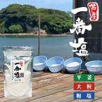 一番塩 100g 海塩 平釜 塩 天然塩