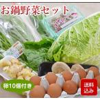 o кастрюля овощи комплект Kyushu овощи яйцо 10 шт есть ваш заказ овощи набор 