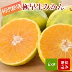  мандарин высшее . сырой мандарин 2kg специальный культивирование размер смешивание Kumamoto префектура производство 