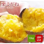  каштан ...10kg каштан желтый золотой клубень размер смешивание батат сырой клубень батат Кагосима префектура производство 