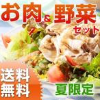 九州野菜とお肉セット ギフト クー