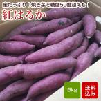 .. ..5kg M-L размер сырой клубень меласса клубень батат ..... . клубень Кагосима префектура 