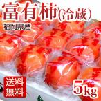 柿 5kg 秀品 富有柿 冷蔵柿 ふゆう柿 福岡産 バレンタイン ギフト