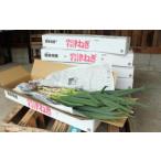  высота книга@ сельское хозяйство место. земля имеется скала Цу лук порей 3kg мягко *...* аромат . хороший утро . город вызывающий чувство гордости уникальная вещь лук порей 