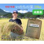 香り、甘み、粘りや弾力に優れたお米「いのちの壱」　令和7年産新米 10kg いのちの宝 (品種:いのちの壱)白米 減農薬 低温循環式精米 ふっくらモチモチ 2025