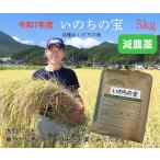 香り、甘み、粘りや弾力に優れたお米「いのちの壱」　令和7年産新米 5kg いのちの宝 (品種:いのちの壱)白米減農薬 低温循環式精米 ふっくらモチモチ 2025