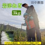  скала Цу лук порей 3kg( пилинг )[ рисовое поле средний сельское хозяйство .] в коробке *...... аромат,.... мягкость .. первоклассный лук-батун *11 месяц 26 день из последовательный отправка предположительно время ограничено 