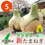 七宝早生 新たまねぎ 淡路島産 玉ねぎ サイズ混合 特別栽培 たまねぎ 5kg 減農薬 有機肥料私用 淡路島 あさひサンファーム 数量限定