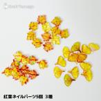 [5 шт ]. лист Nailparts . лист / Maple / гинкго осень ногти полимер детали ручная работа материалы рукоделие материал отметка использование r7-ni