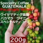 スペシャルティコーヒーグアテマラウ...