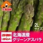 アスパラ 北海道 アスパラガス 送料無料 北海道 アスパラ 900 g 2Lサイズ 野菜 アスパラガス