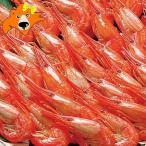 北海しまえび ボイル 送料無料 北海