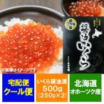 いくら 500g いくら 醤油漬け 500g (250g×2) 北海道 いくら醤油漬け 500g 魚介類 海産物 イクラ 魚卵 いくらしょうゆ漬け