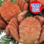 毛ガニ ボイル 送料無料 毛蟹 2尾 北海道 毛がに 浜茹で けがに 2尾 (400g×2) かに ギフト 蟹 魚介類 海産物 カニ