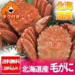 北海道 毛ガニ 2尾 送料無料 浜茹で けがに 2杯 北海道 毛蟹 ボイル 毛がに 北海道産 けがに 2匹 (500g×2) 魚介類 海産物 カニ 毛ガニ タグ付き