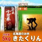 米 北海道米 ギフト きたくりん お米 5kg 米 北海道米 当麻産 籾貯蔵 今摺米 きたくりん 米 5kg 白米 精米