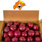  время от времени отправка средний лук репчатый early красный 10kg M размер Hokkaido север видеть производство или . хорошо . производство красный шар лук порей бесплатная доставка красный шар лук порей 1 коробка красный шар лук порей /tama лук-батун / лук овощи 