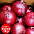  время от времени отправка средний лук репчатый early красный 5kg M размер Hokkaido север видеть производство или . хорошо . производство красный шар лук порей бесплатная доставка красный шар лук порей красный шар лук порей /tama лук-батун / лук овощи 