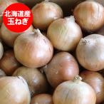 玉ねぎ 10kg 送料無料 北海道産 たまねぎ 10kg 2Lサイズ 共選 玉葱 送料無料 北海道 野菜 玉ねぎ