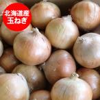 北海道 玉ねぎ 5kg 送料無料 北海道産 たまねぎ 5kg Mサイズ 共撰 野菜 玉ねぎ / タマネギ / 玉葱