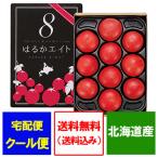フルーツトマト 送料無料 フルーツ トマト はるかエイト 化粧箱入 10〜15玉前後 北海道産 とまと ギフト フルーツ トマト 野菜